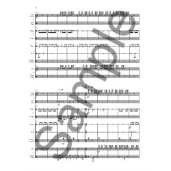 Kevin Volans: Abhaya