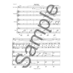 John Luther Adams: Dark Wind