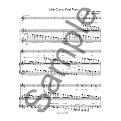 John Luther Adams: Little Cosmic Dust Poem