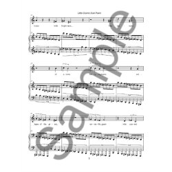 John Luther Adams: Little Cosmic Dust Poem