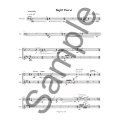 John Luther Adams: Night Peace