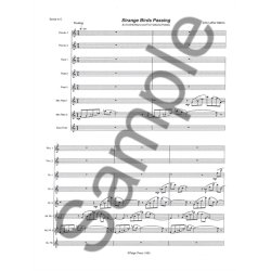 John Luther Adams: Strange Birds Passing