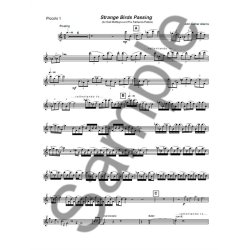 John Luther Adams: Strange Birds Passing