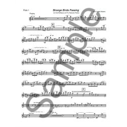 John Luther Adams: Strange Birds Passing