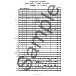 Gabriel Prokofiev: Concerto For Percussion, Trumpet, Turntables And Orchestra