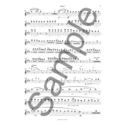 HELIOS OVERTURE - STEMMER (8.7.6.5.4-STRINGS)