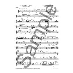 Carl Nielsen: Symphony No.6 'Sinfonia Semplice' (Parts)