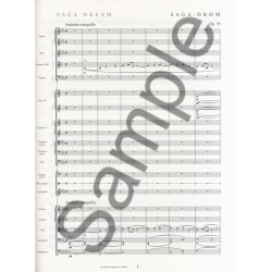 Carl Nielsen: Orchestral Works 2