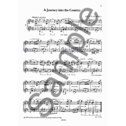 Nineteen Romantic Pieces