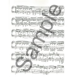 Robert Schumann: Piano Music Series II