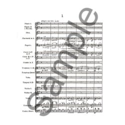 Antonin Dvorak: Symphonies Nos. 8 and 9 ('New World) In Full Score