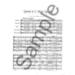 Franz Schubert: Complete Chamber Music For Strings