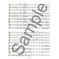W.A. Mozart: 17 Divertimenti For Various Instruments