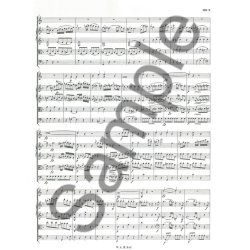 W.A. Mozart: 17 Divertimenti For Various Instruments