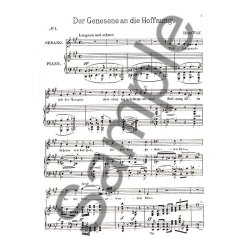 Hugo Wolf: The Complete Morike Songs