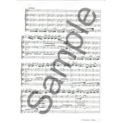 J.S. Bach: The Three Violin Concerti