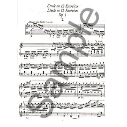 Franz Liszt: Complete Etudes For Solo Piano Series I