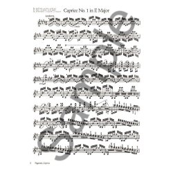 Paganini/Wieniawski: Caprices And Etudes For Violin