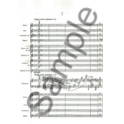 Edvard Grieg: Piano Concerto