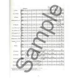 Franz Liszt: Les Preludes And Other Symphonic Poems