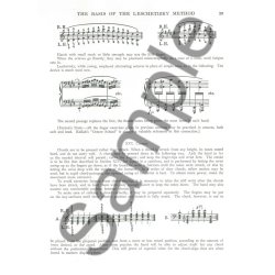 Malwine Bree: The Leschetizy Method