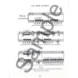 Franz Liszt: The Schubert Song Transcriptions For Solo Piano III