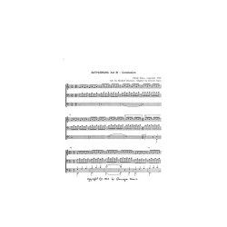 Philip Glass: Satyagraha Act 3 - Conclusion (Organ)