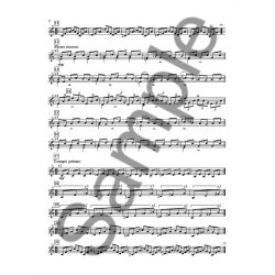 Philip Glass: Violin Solo Music (Solo Guitar)