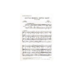 Johann Strauss II: Gentle Breezes, Softly Blow