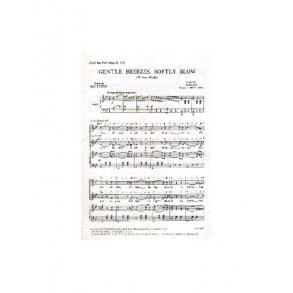 Johann Strauss II: Gentle Breezes, Softly Blow