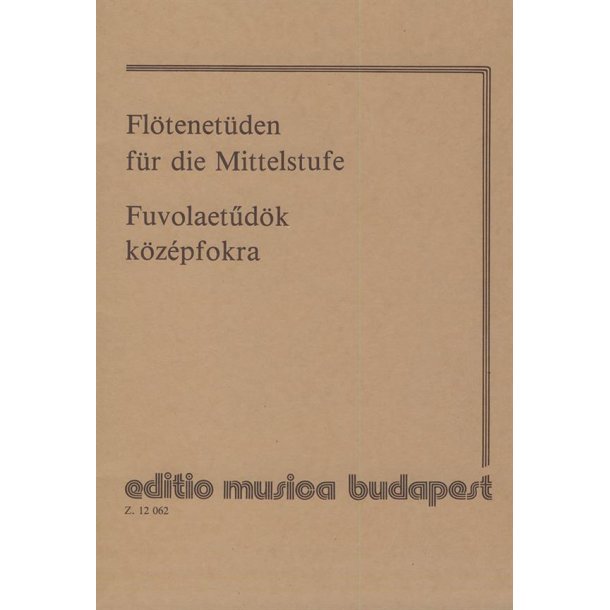 Fl&ouml;tenet&uuml;den f&uuml;r die Mittelstufe : f&uuml;r die Mittelstufe