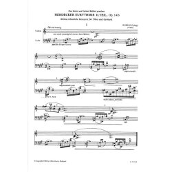 Herdecker Eurythmie op. 14b II : II. Kleine erbauliche Konzerte f&uuml;r Theo und Gerhard, f&uuml;r Violine und Tenor Leier