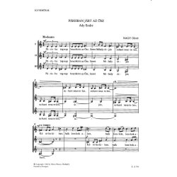 P&aacute;rizsban j&aacute;rt az &ouml;sz