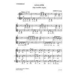 Ludas j&aacute;t&eacute;k