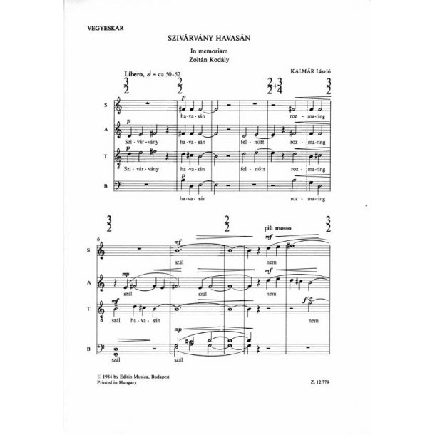 Sziv&aacute;rv&aacute;ny havas&aacute;n