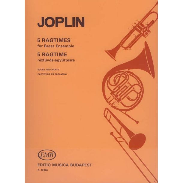 5 Ragtimes f&uuml;r Blechbl&auml;serensZle : f&uuml;r Blechbl&auml;serensemble