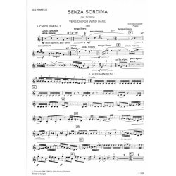 Senza Sordina : Trumpet and Wind Band
