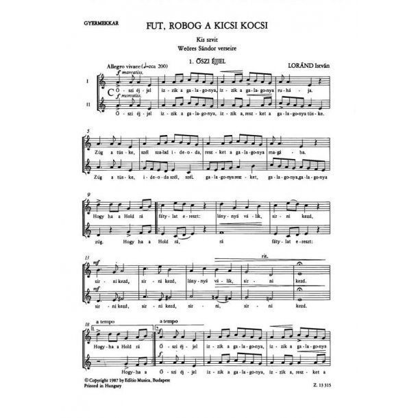 Fut, robog a kicsi kocsi