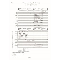 New Messages For Orchestra : (Version 29)