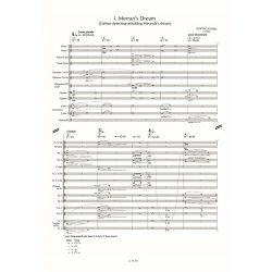 New Messages For Orchestra : (Version 29)