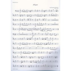 Klassische Klaviertrios f&uuml;r Anf&auml;nger (Erste Lage)