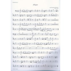 Klassische Klaviertrios f&uuml;r Anf&auml;nger (Erste Lage)