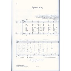 Musica Sacra f&uuml;r gemischten Chor V Marienlieder : Marienlieder