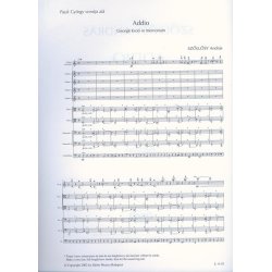 Addio per violino principale e 9 archi