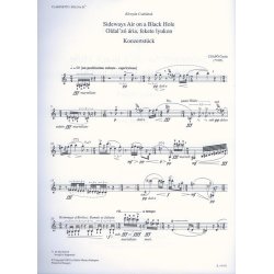 Sideways Air on a Black Hole for Clarinet in Sib : Konzertst&uuml;ck. Solo