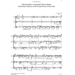 Emroidery Patterns on the Cracked Face of t: Earth