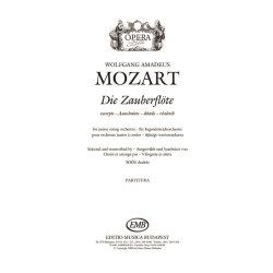 Die Zauberfl&ouml;te