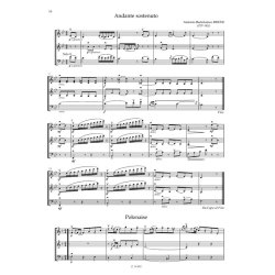 Trios for Two Violins and Cello : Musica da Camera