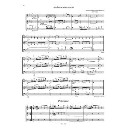 Trios for Two Violins and Cello : Musica da Camera