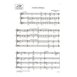 A k&ouml;lt&ouml; s&iacute;rfelirata (Epitaph)